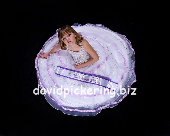 DPP_3079-87