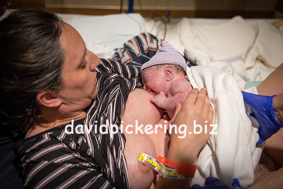 DPP_6474-227