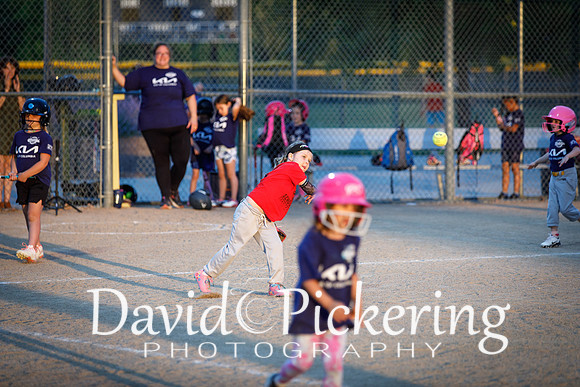 DPP_1183-31