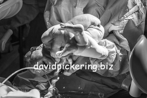 DPP_9624-55