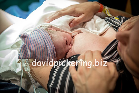 DPP_6510-239