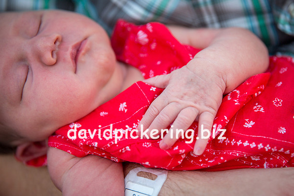 DPP_7278-37