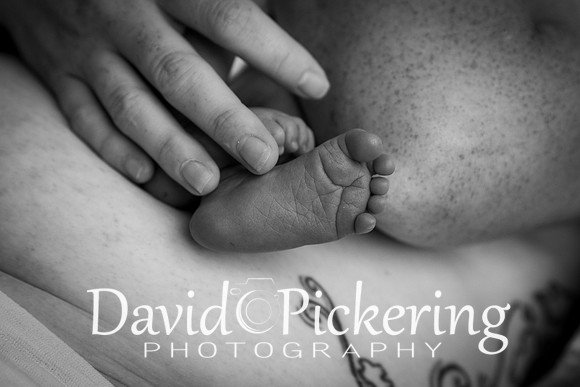 DPP_4936-52