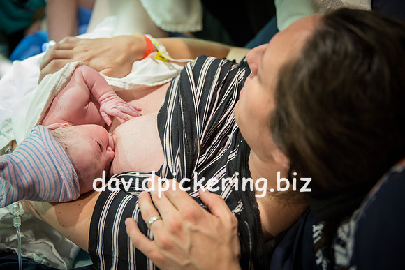 DPP_6561-265