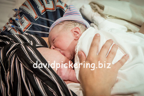 DPP_6533-245