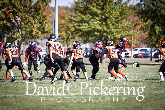 DPP_3013-86