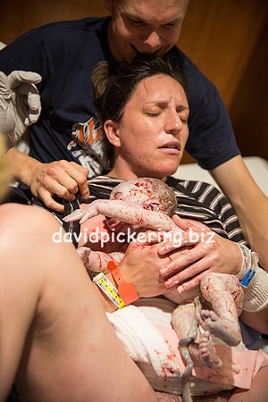 DPP_6362-179