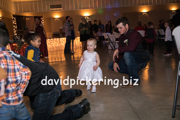 DPP_8239-234