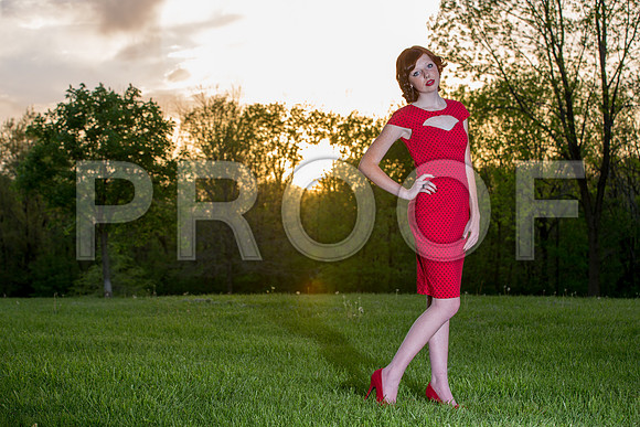 DPP_6119-69