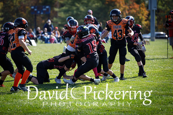 DPP_2719-24