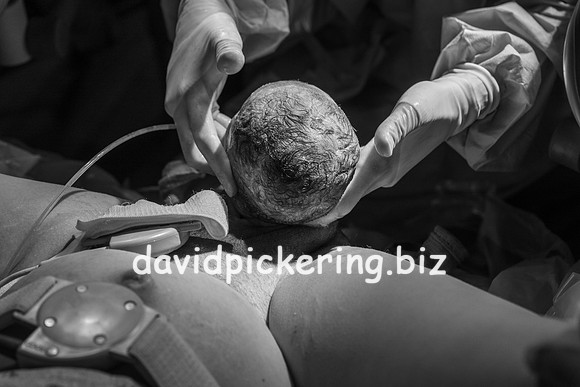 DPP_9606-48
