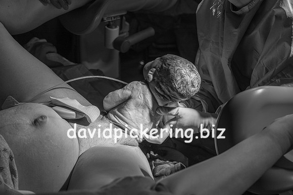 DPP_9618-53