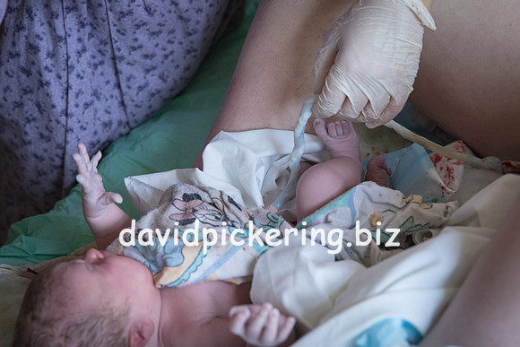 DPP_9412-135