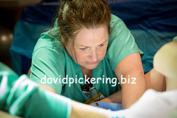 DPP_6557-261