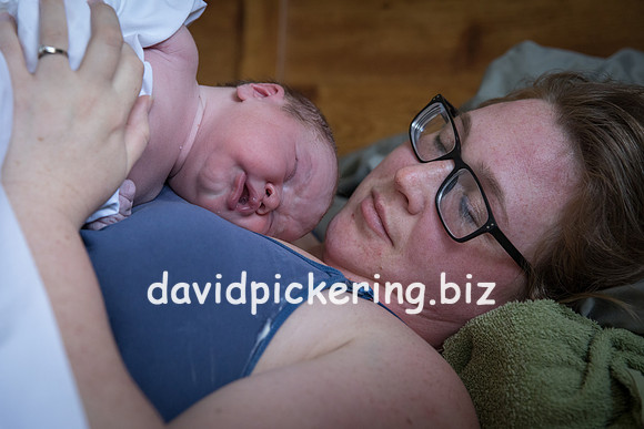 DPP_9432-147