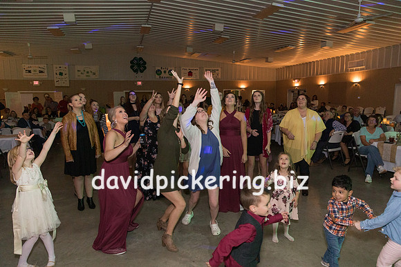 DPP_8127-207