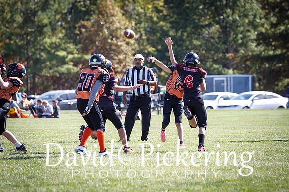 DPP_3184-103
