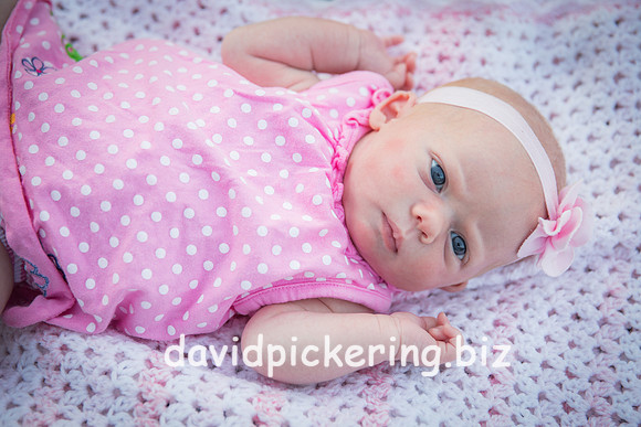 DPP_2928-19