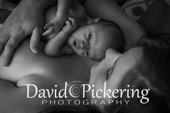 DPP_4915-49
