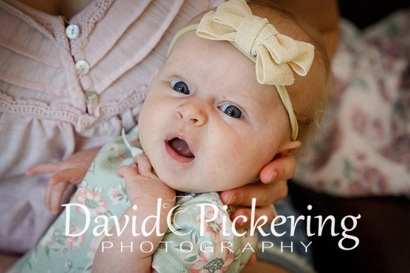 DPP_5954-2