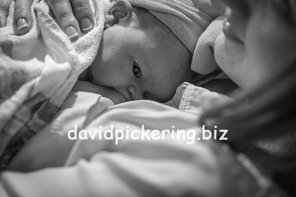 DPP_9957-146