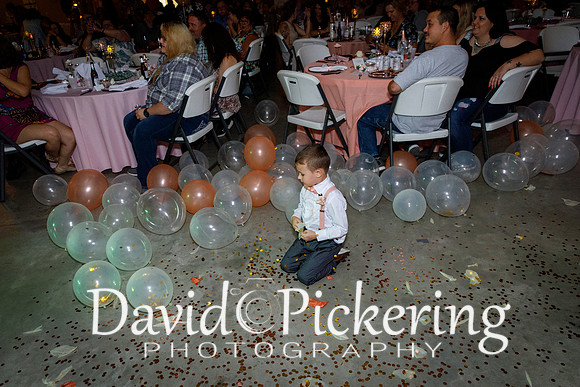 DPP_8931-270
