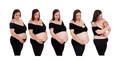 10x20 sophie timeline