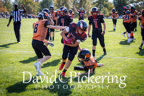 DPP_2797-43