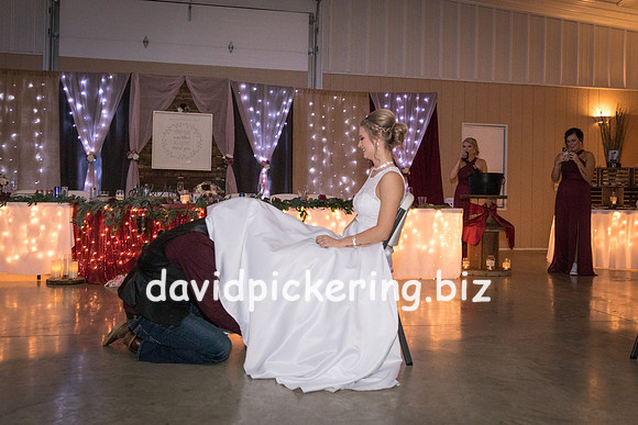 DPP_8181-220