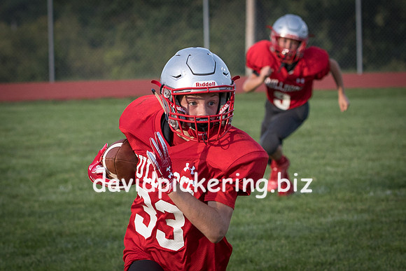 DPP_7418-69