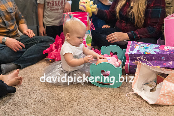 DPP_4454-84