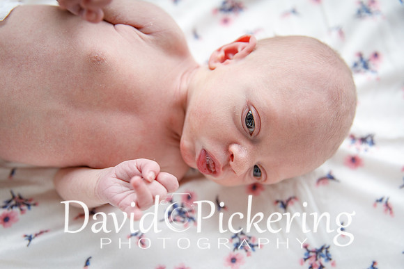 DPP_4567-56