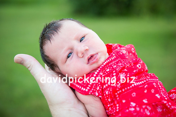 DPP_7339-60
