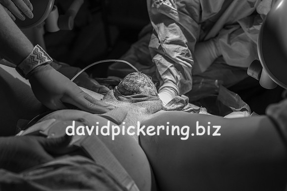 DPP_9592-44
