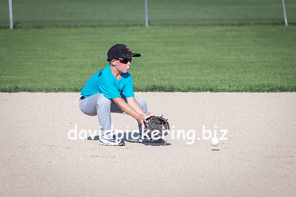 DPP_6115-31