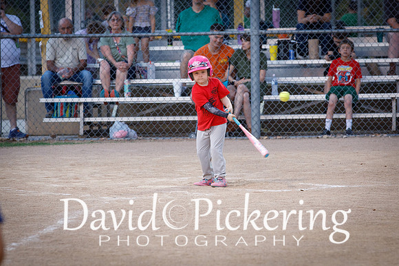 DPP_1214-36