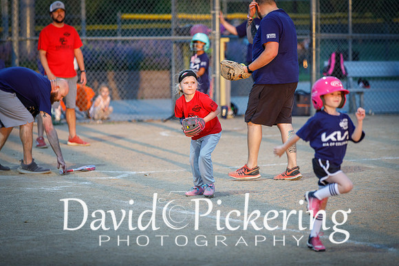 DPP_1193-33