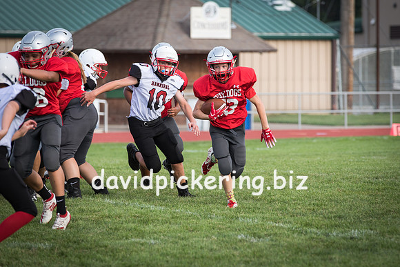 DPP_7281-31