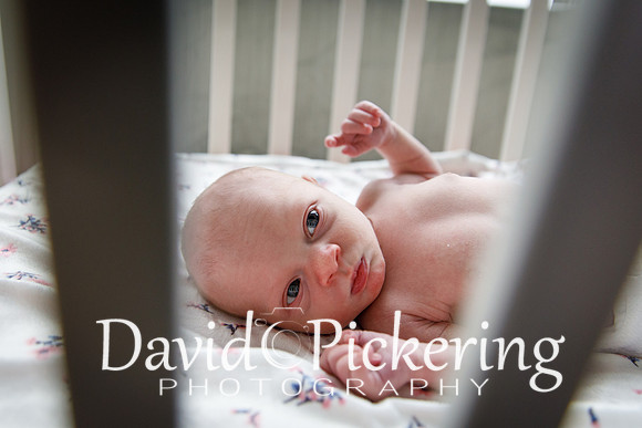 DPP_4520-52