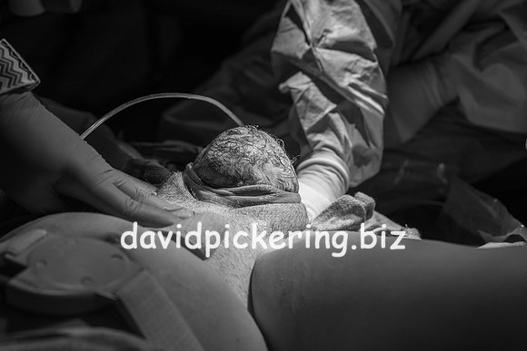 DPP_9593-45