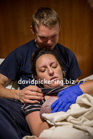 DPP_6411-194