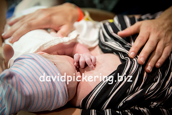 DPP_6552-259