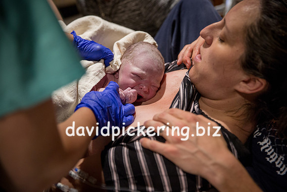 DPP_6416-196