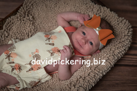 DPP_7409-2