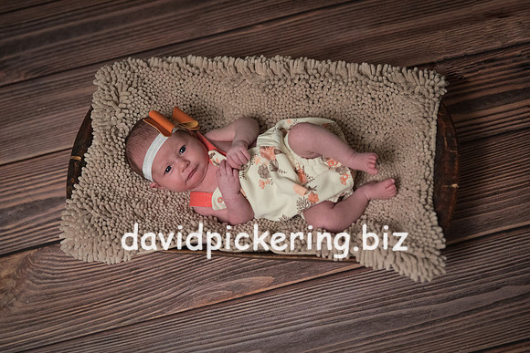 DPP_7397-1