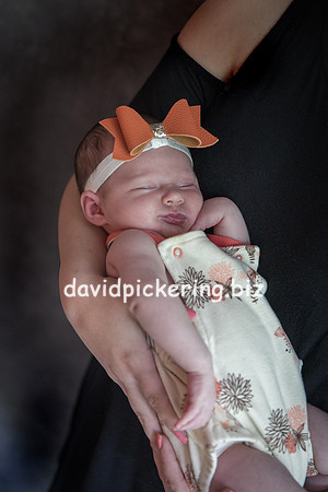 DPP_7438-11