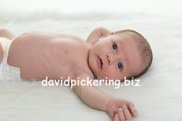 DPP_7475-25