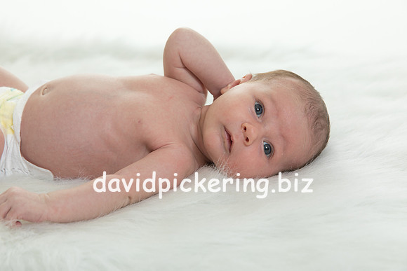DPP_7476-26