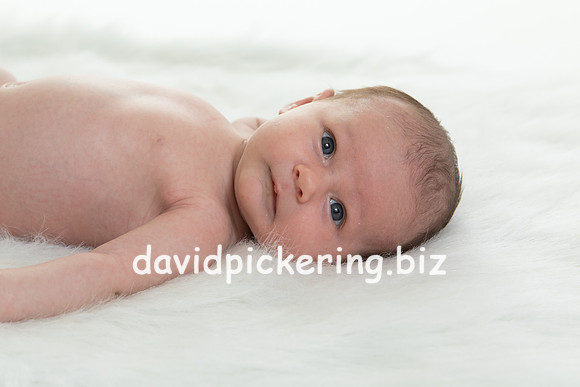 DPP_7478-27