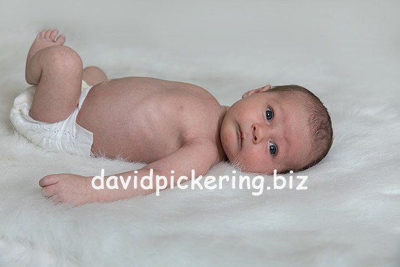 DPP_7479-28